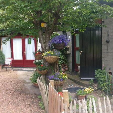 Bed And Breakfast Het Oude Bos Wijnjewoude Luaran gambar