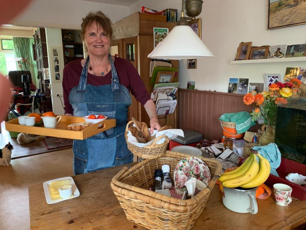 Bed And Breakfast Het Oude Bos Wijnjewoude Luaran gambar